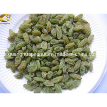 Manufacture New Crop All Kinds of Raisins